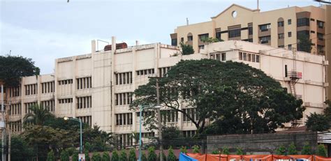 University of Makati (Pamantasan ng Makati) – Courses in the .
